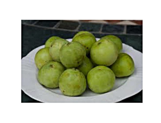 Tinda