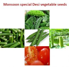 Monsoon special Desi vegetable seeds