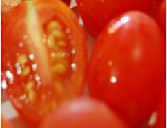 tomato desi
