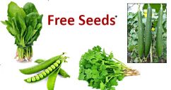 free seeds agriculturemart