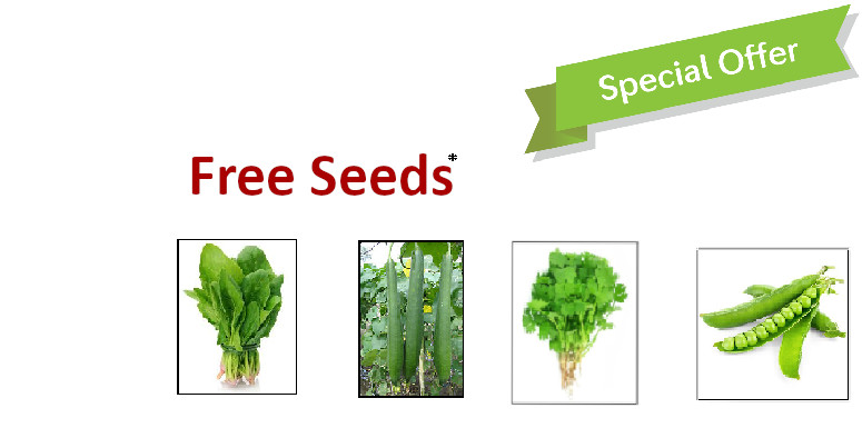 Seeds Plants Pots At Online Gardening In India Largest Banner