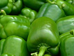 Capsicum green – Desi Seeds