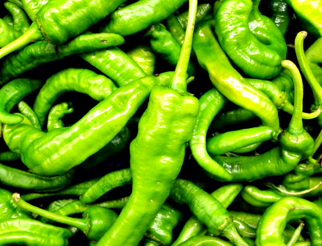green hot pepper