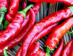 hot pepper