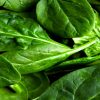 spinach