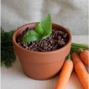 carrot pot